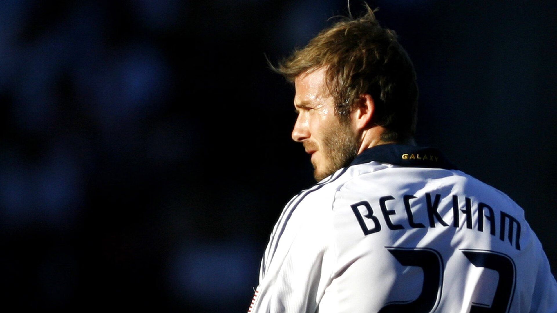 世界综合格斗新人杯：多名散打、柔道跨界选手展现多元技战术